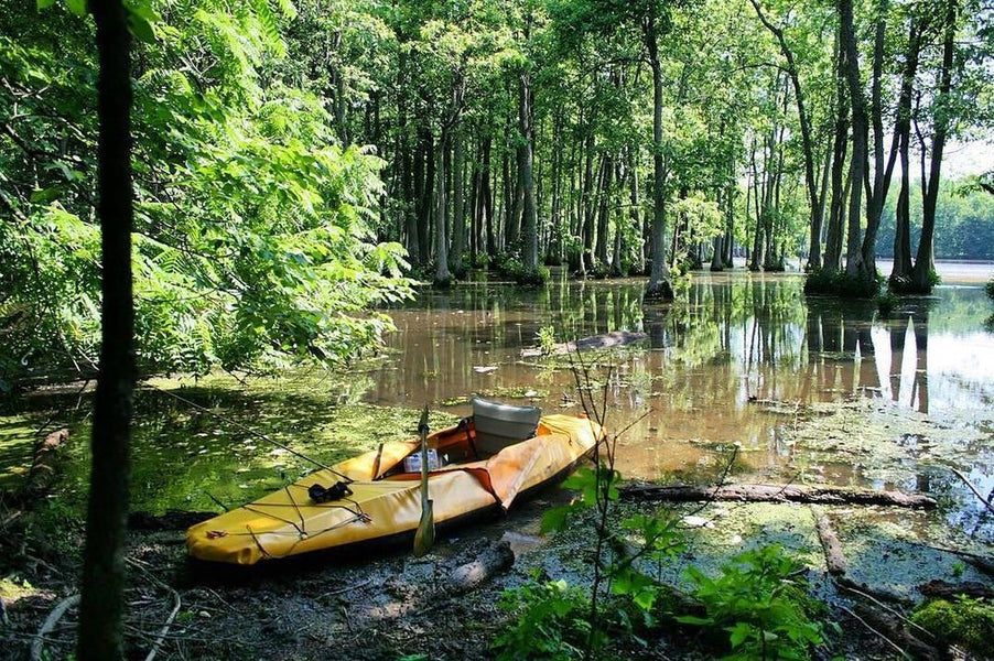 5 SOUTHERN SWAMPS TO PADDLE